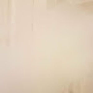 Meet your Posher, Badger